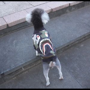 CAMO SHARK DOG SWEATER